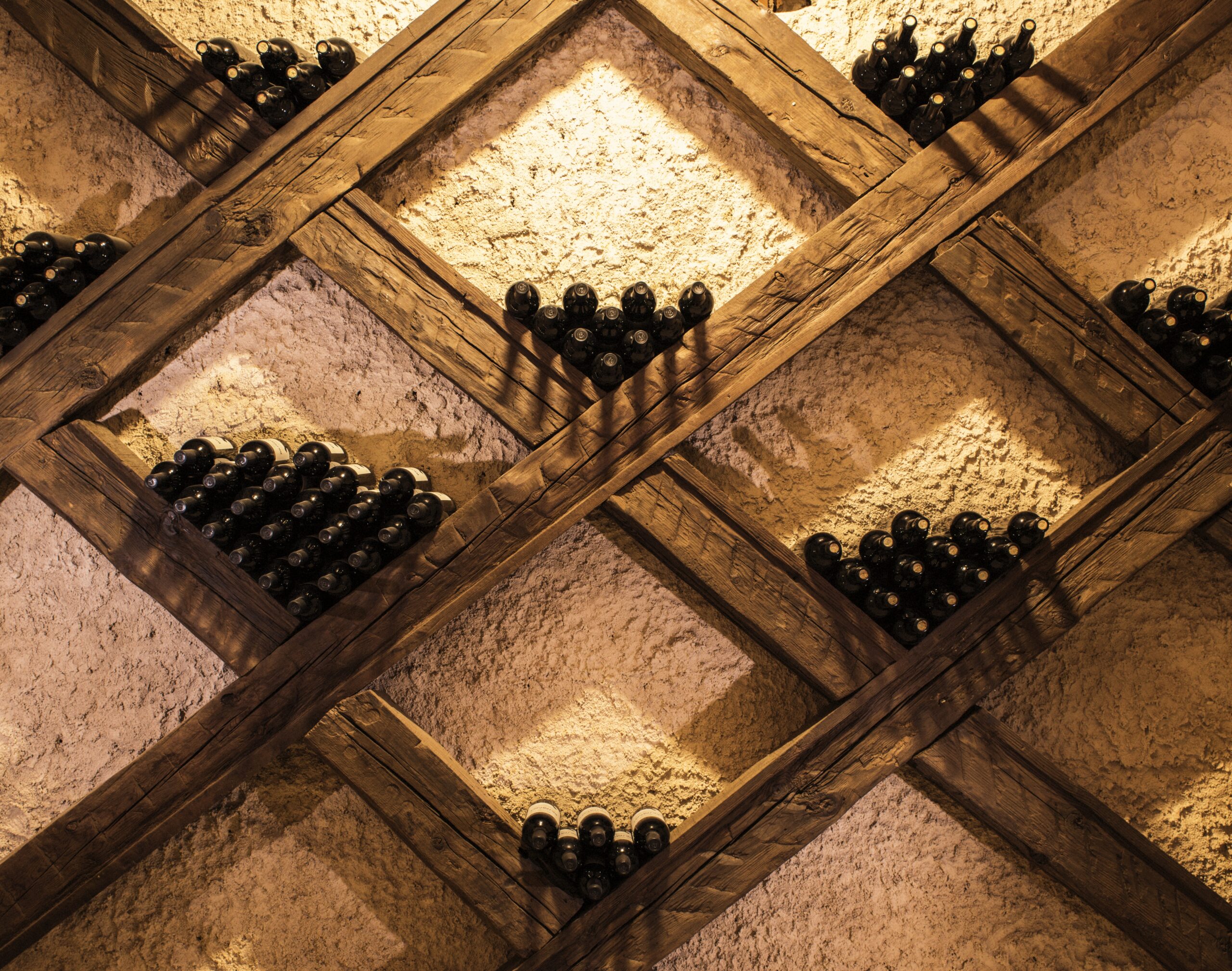 Vinos con origen, tiempo y carácter propio.